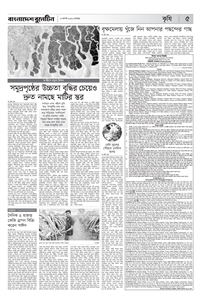 page5